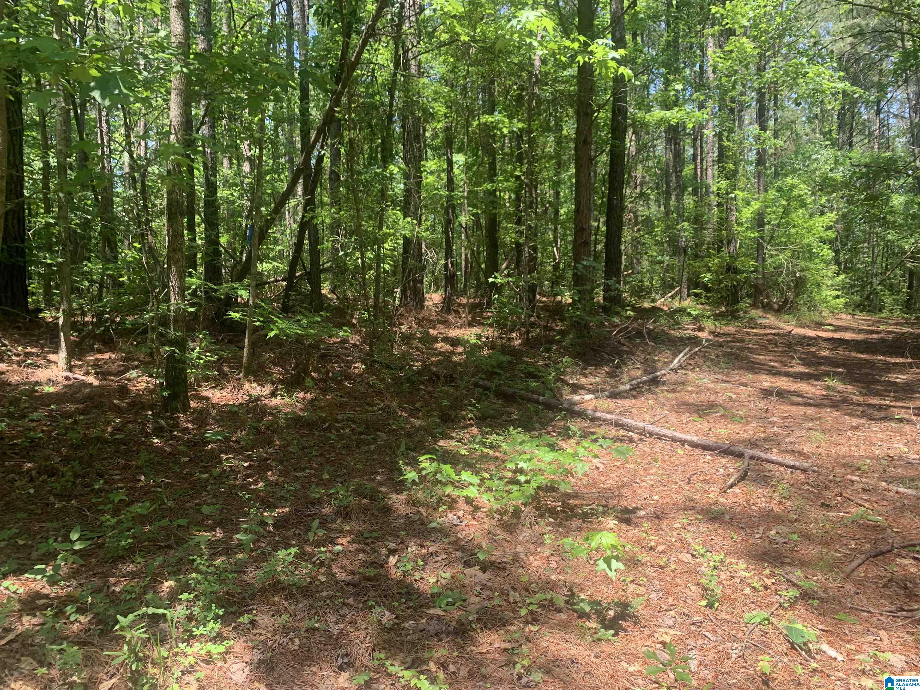 1161 Old Patton Ferry Road Adger, AL 35006 - Photo 38 of 46