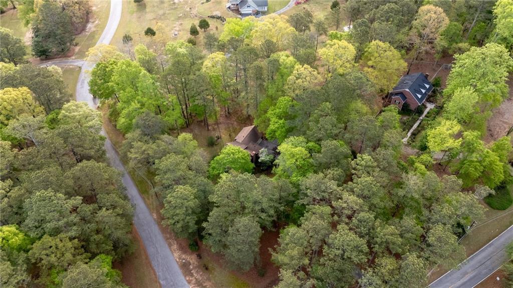3121 Bonds Lake Road Northwest Conyers, GA 30012 - Photo 36 of 36 a view of a forest with a tree