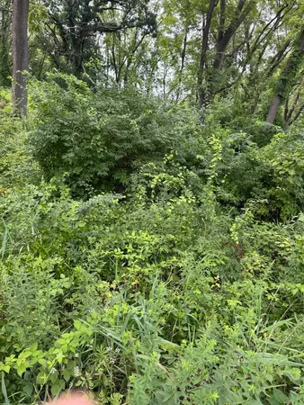 $159,900 | 10 Chateau Drive, West Dundee, IL 60118