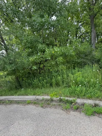a view of a lake with a forest