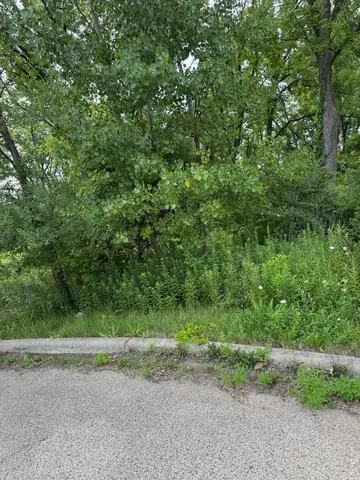 a view of a lake with a forest