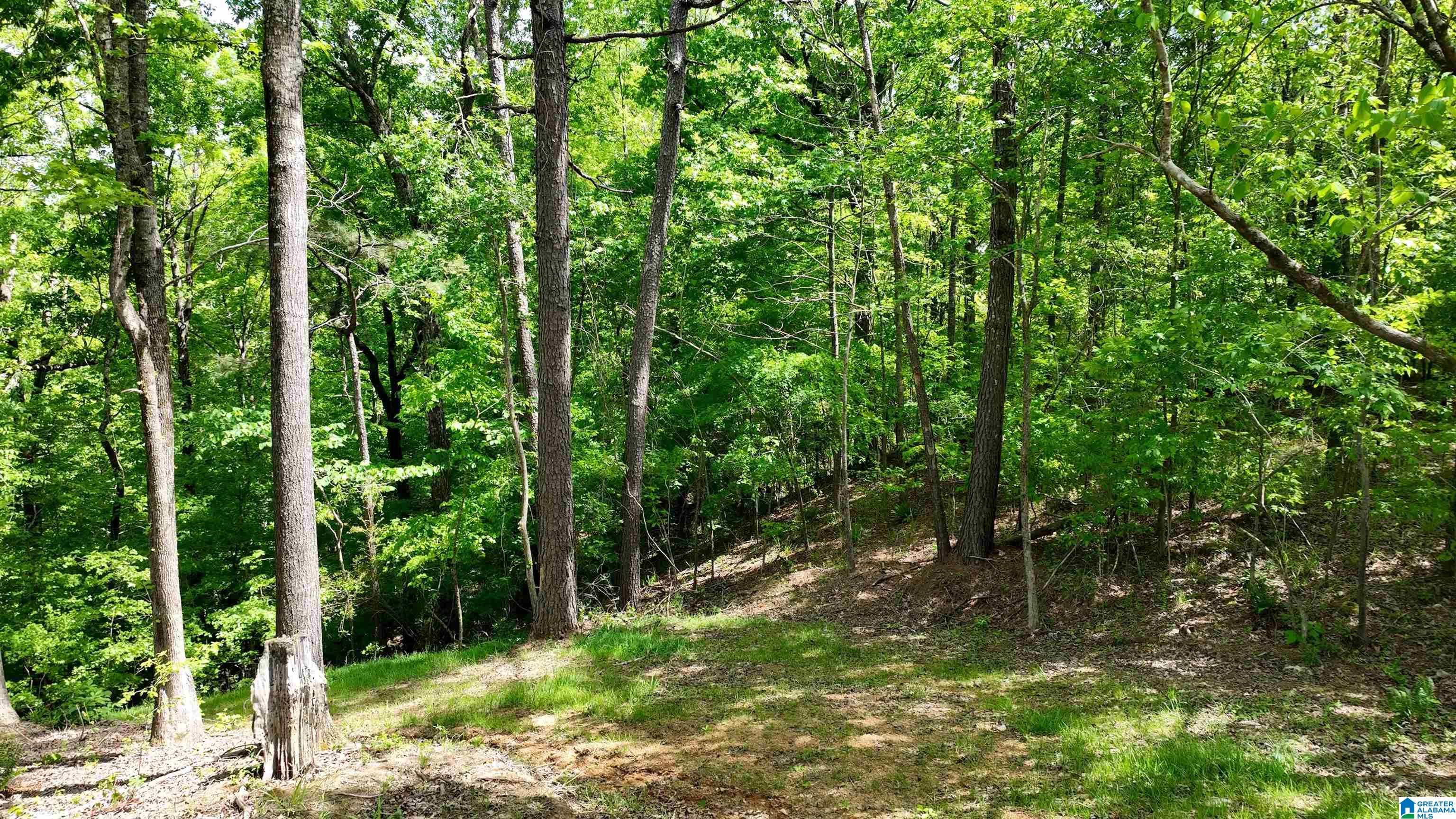 498 Blackwood Road, Unit 14 9 ACRES Parrish, AL 35580 - Photo 34 of 50