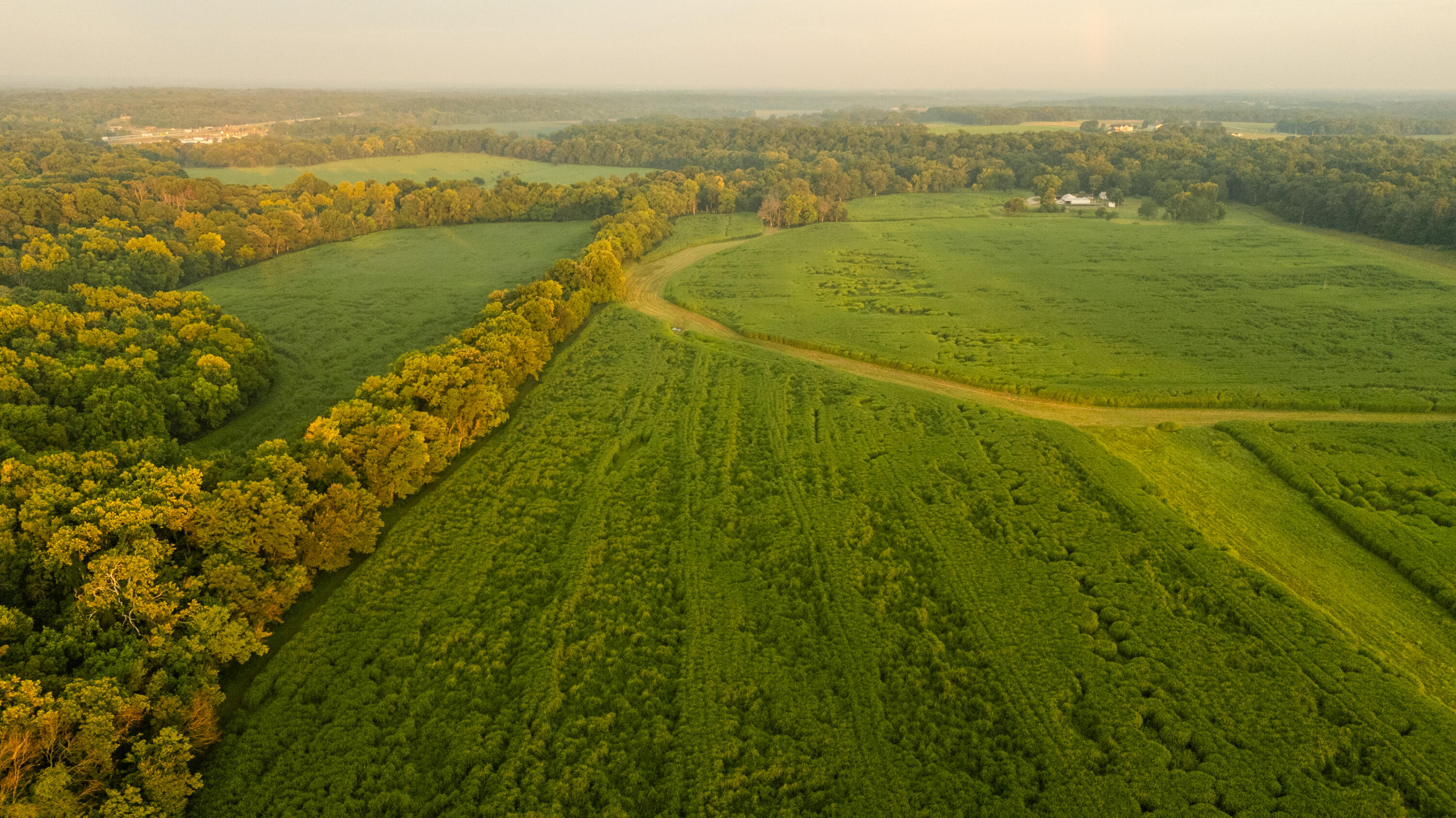 5492 Cedar Lane Reeds, MO 64859 - Photo 8 of 77 Jasper129drone(MLSRES)-14