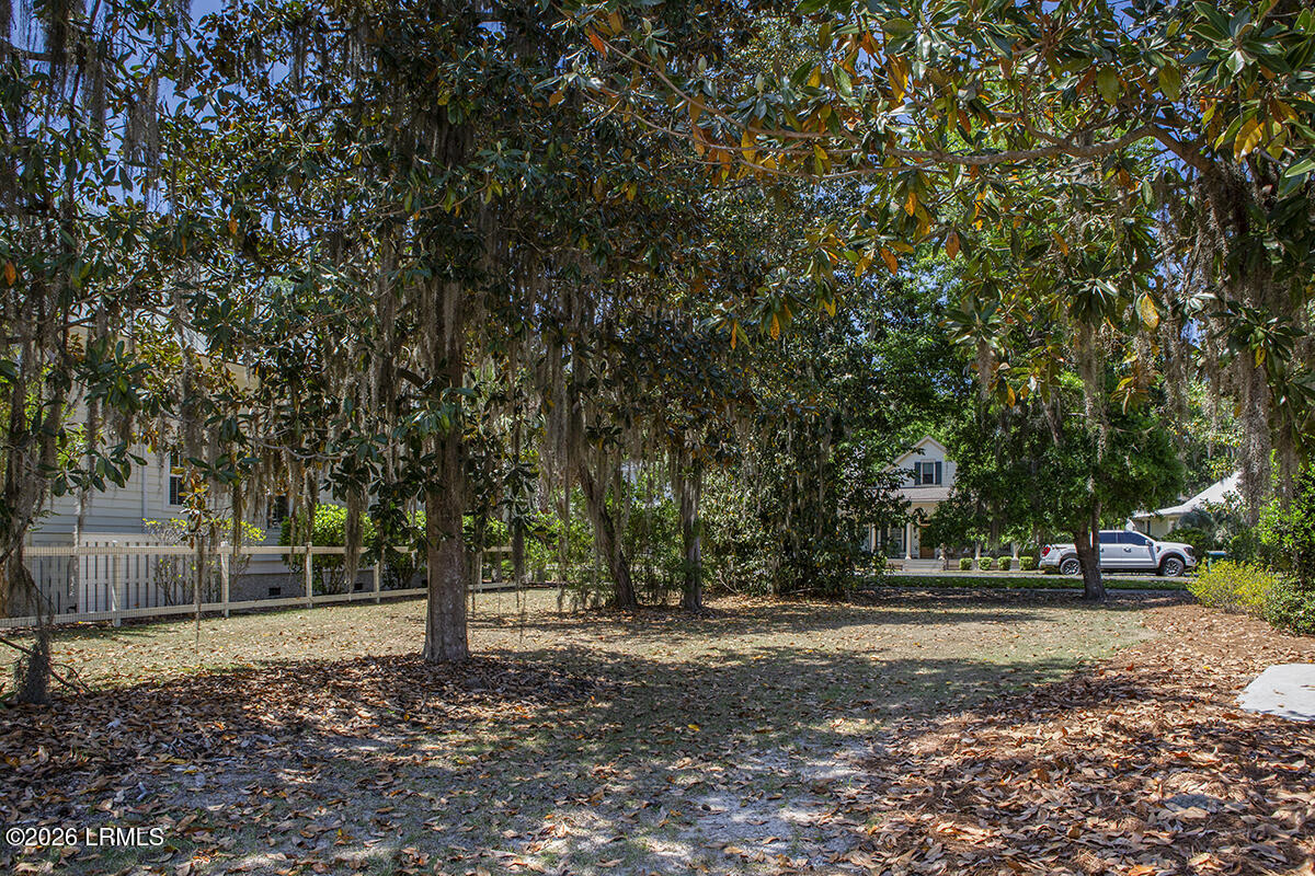 98 Gautier Place Beaufort, SC 29902 - Photo 6 of 24 Upclose lot photo