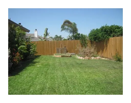 a close up of a plant in a garden