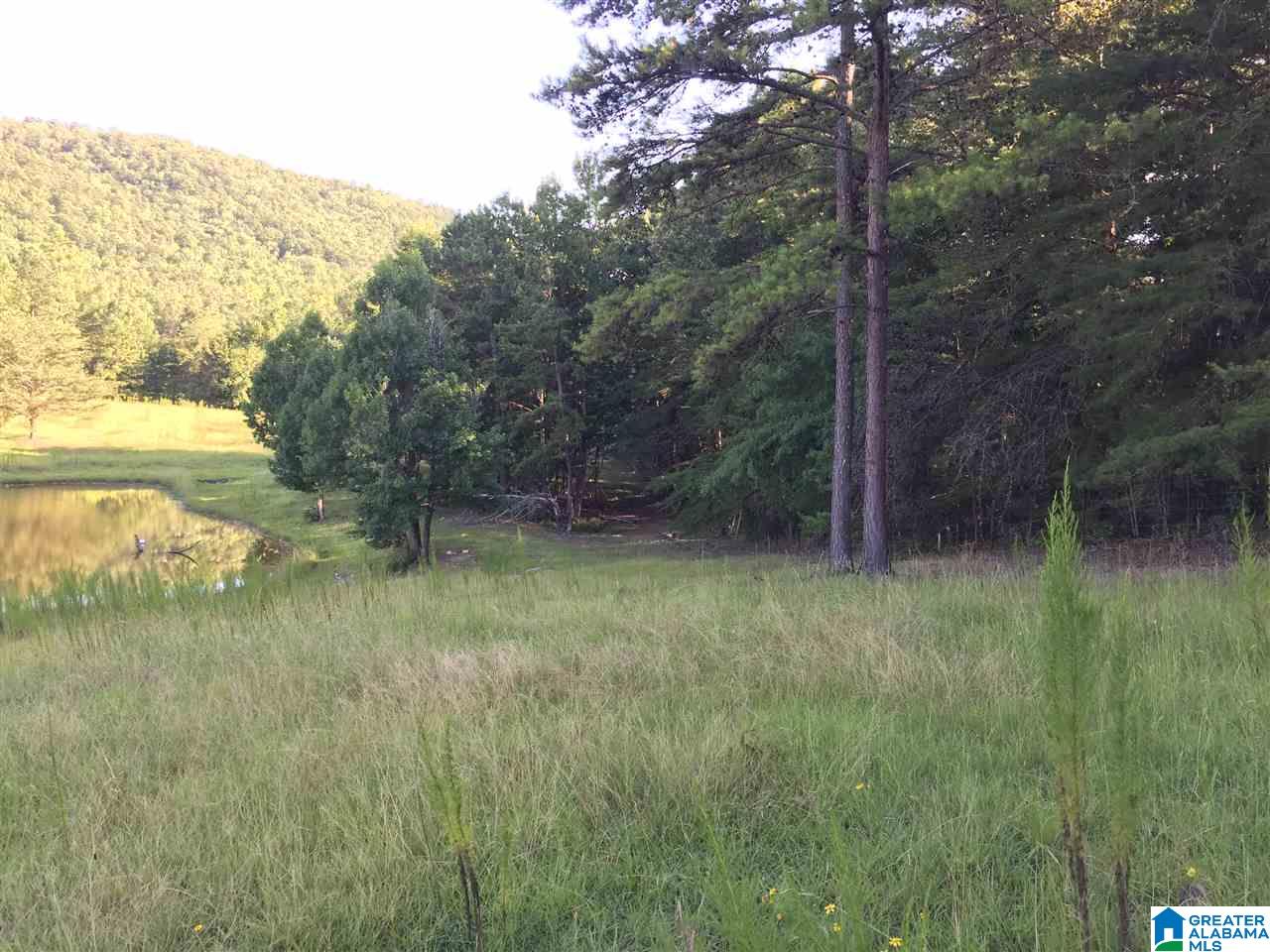 0 Valley Creek Road Piedmont, AL 36272 - Photo 25 of 28