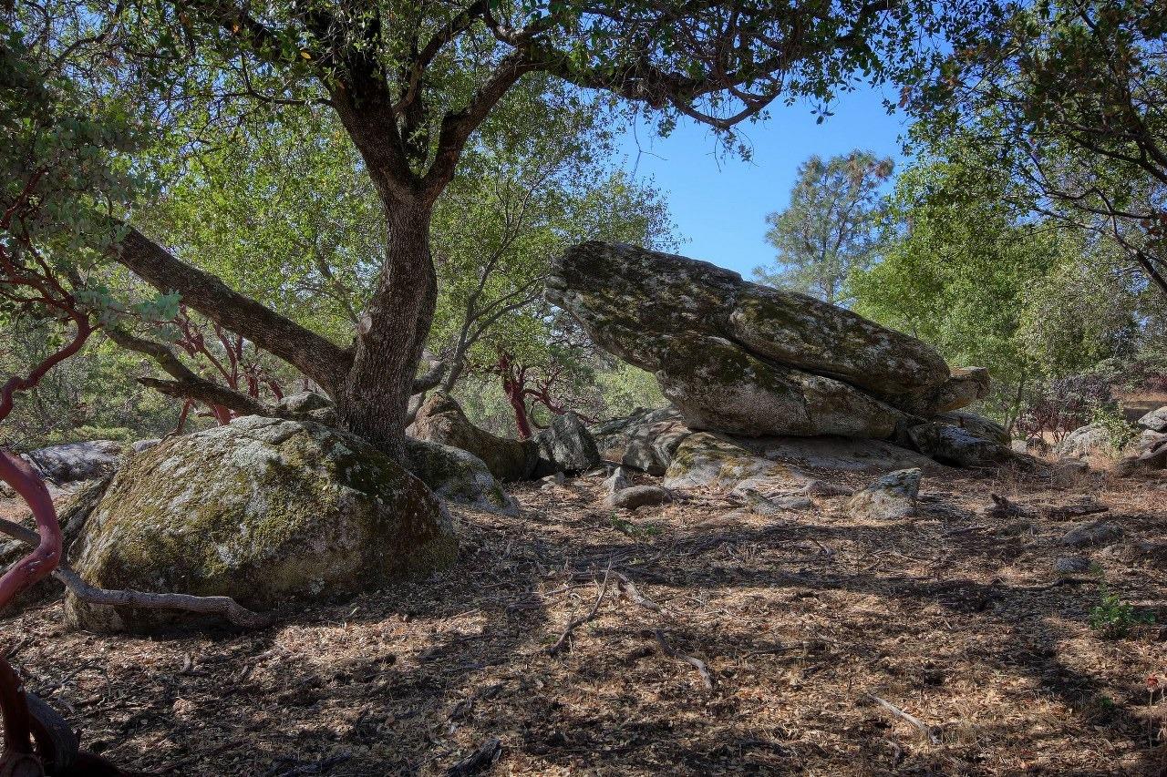 4840 Moonshadow Road Mariposa, CA 95338 - Photo 41 of 48 Gallery Image 41