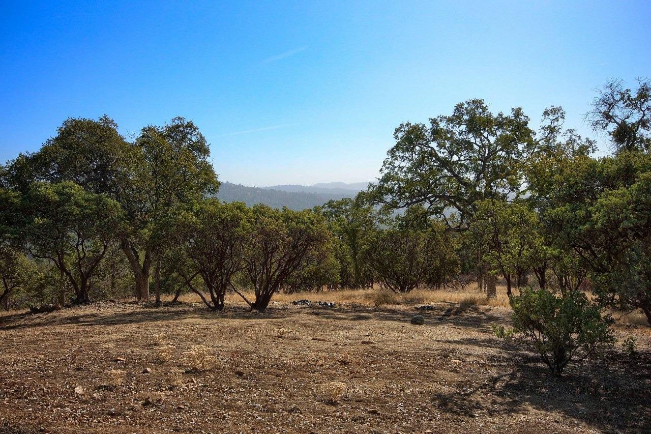 4840 Moonshadow Road Mariposa, CA 95338 - Photo 42 of 48 Gallery Image 42