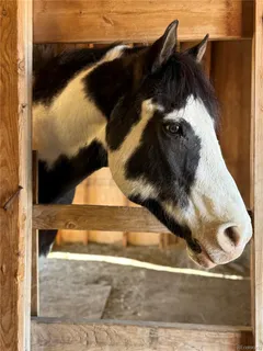 $1,580,000 | 12540 West 86th Avenue, Arvada, CO 80005