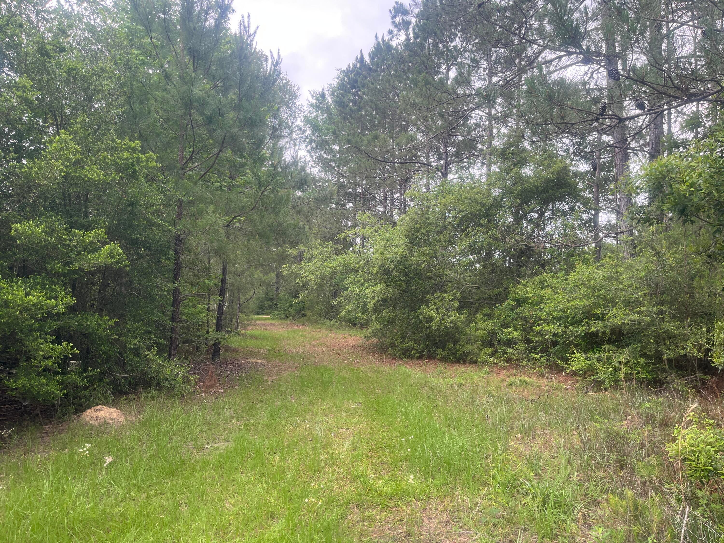 2014 Tower Road Pitkin, LA 70656 - Photo 23 of 25 Gallery Image 23