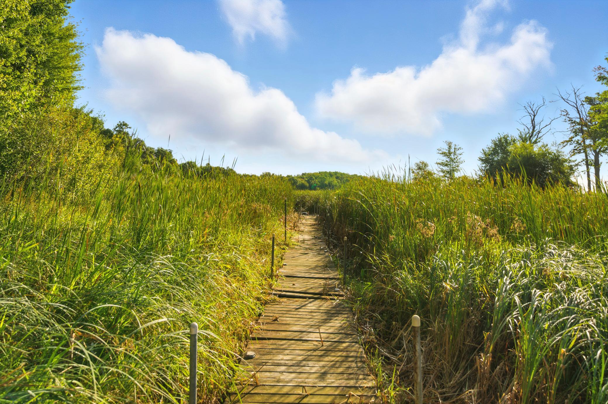 563 Elins Lake Road Cambridge, MN 55008 - Photo 20 of 54