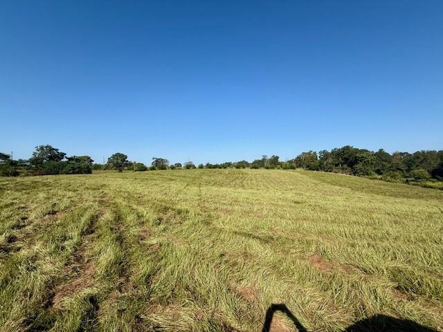 Tbd Bennie Morris Road Mount Hermon, LA 70450 - Photo 10 of 17