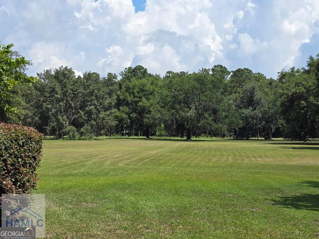 485 Lake Pamona Road Midway, GA 31320 - Photo 2 of 19