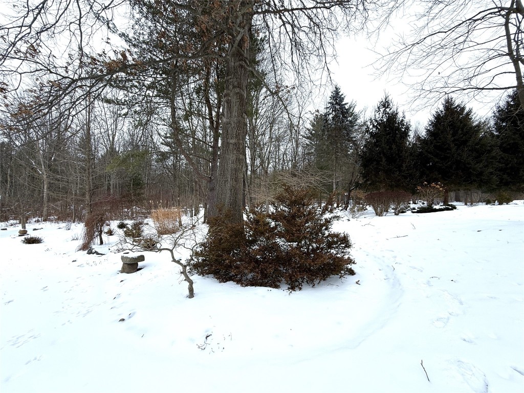 91 Coventry Road Endicott, NY 13760 - Photo 47 of 48