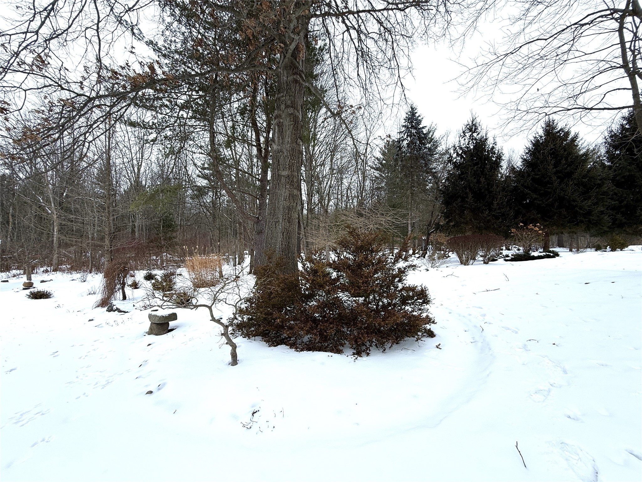 91 Coventry Road Endicott, NY 13760 - Photo 48 of 49