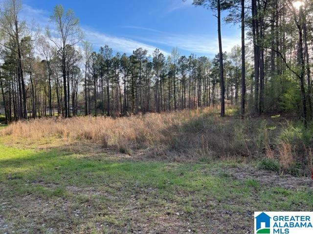 17 Rustic Oaks Drive, Unit 9 Sterrett, AL 35147 - Photo 8 of 13