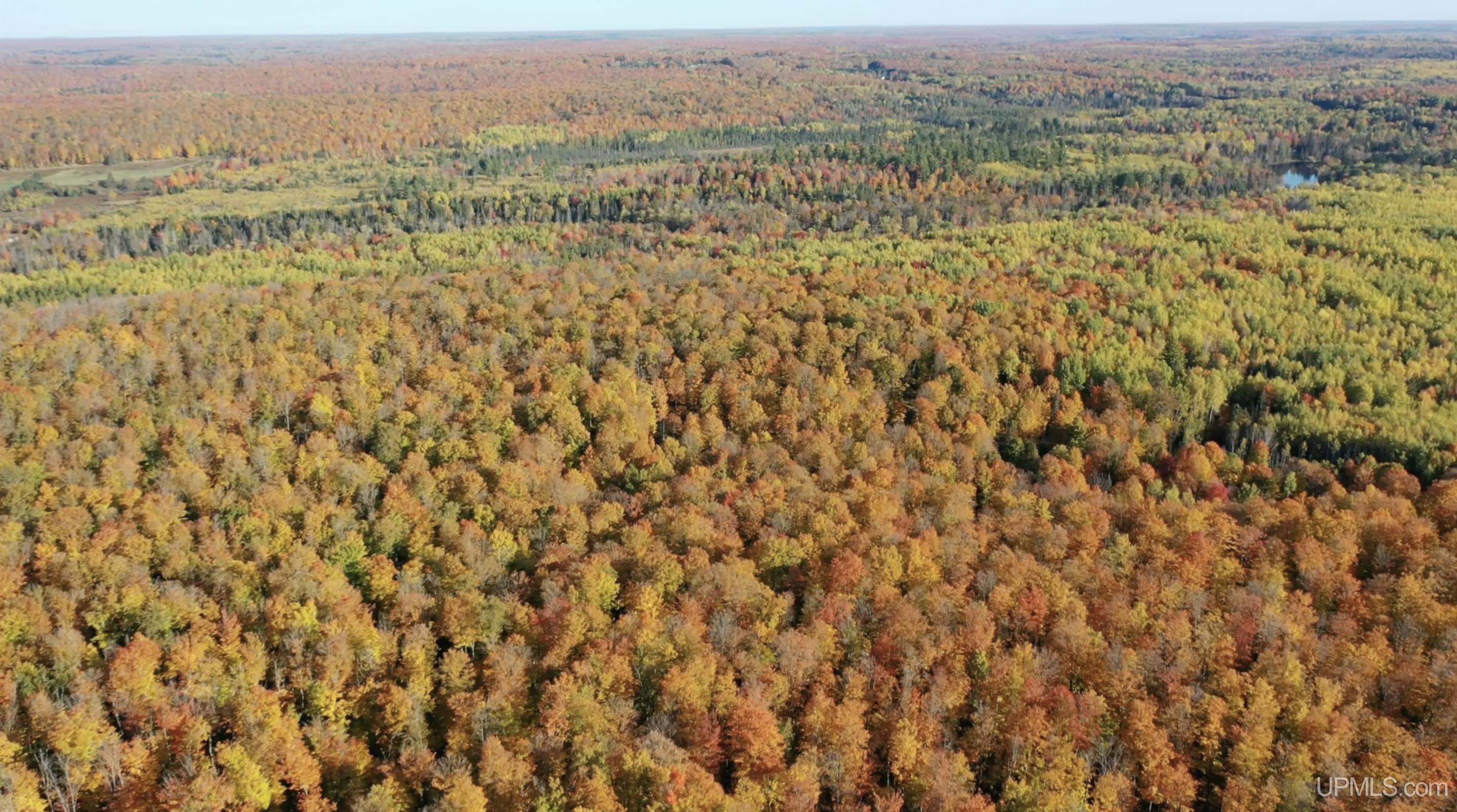 Tbd Soderena Road Crystal Falls, MI 49920 - Photo 14 of 19