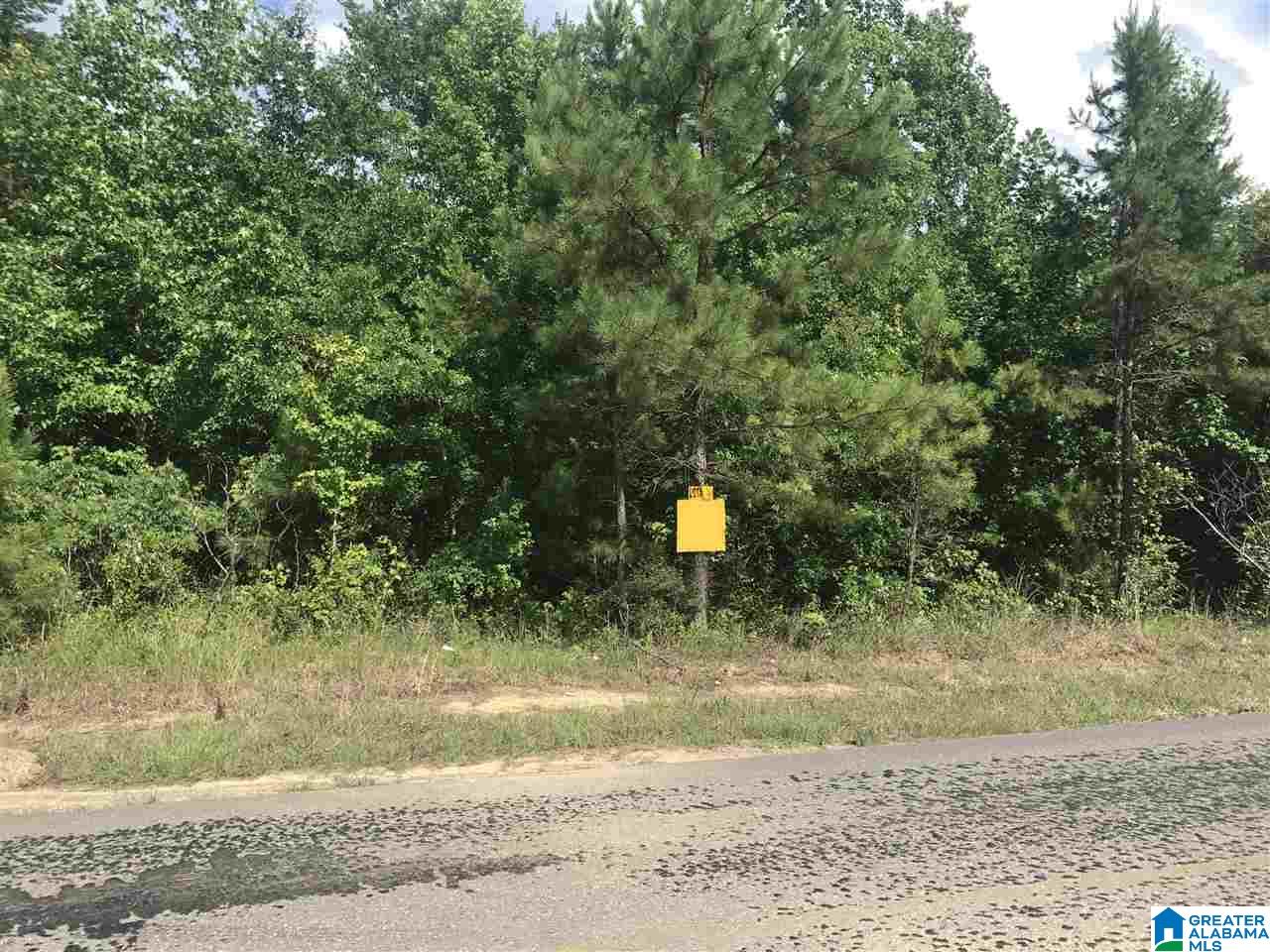 Lot 3 Mill Creek Road, Unit 3 Cordova, AL 35550 - Photo 1 of 4