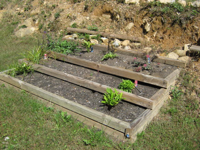 1438 Raccoon Loop Oneida, TN 37841 - Photo 14 of 35 IMG_1224