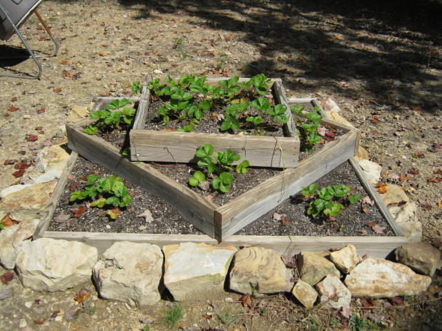 1438 Raccoon Loop Oneida, TN 37841 - Photo 15 of 35 IMG_1226