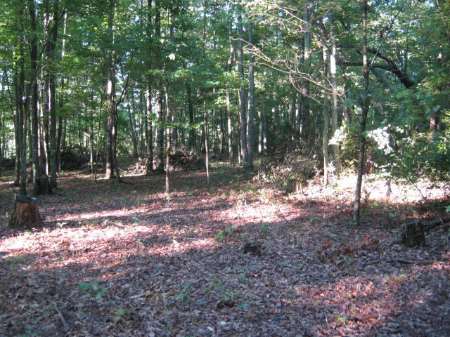 1438 Raccoon Loop Oneida, TN 37841 - Photo 3 of 35 IMG_0751