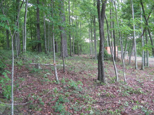 1438 Raccoon Loop Oneida, TN 37841 - Photo 22 of 35 IMG_0534