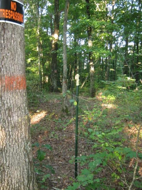 1438 Raccoon Loop Oneida, TN 37841 - Photo 25 of 35 IMG_0755