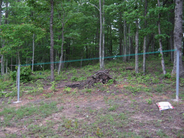 1438 Raccoon Loop Oneida, TN 37841 - Photo 26 of 35 IMG_0882