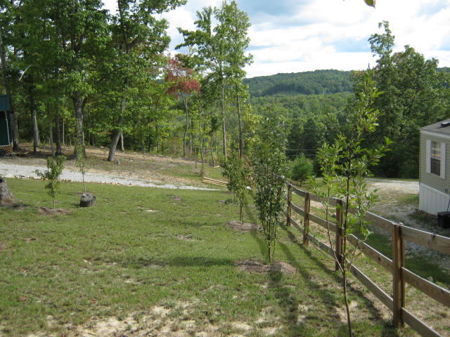 1438 Raccoon Loop Oneida, TN 37841 - Photo 6 of 35 IMG_1020-2