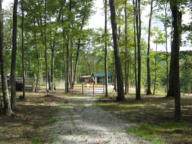 1438 Raccoon Loop Oneida, TN 37841 - Photo 7 of 35 IMG_1030