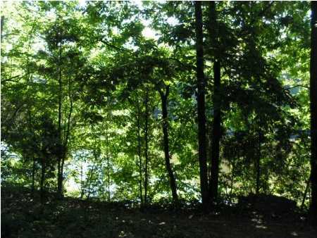 860 Hickory Grove Road Leitchfield, KY 42754 - Photo 1 of 1 Primary Photo