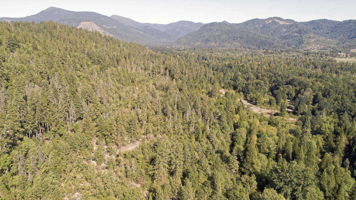 3001 Davis Creek Road Selma, OR 97538 - Photo 14 of 32 DJI_0279