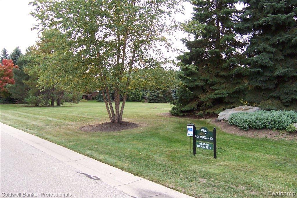 2515 Elm Brook Court Rochester, MI 48309 - Photo 7 of 7 100_1201.JPG