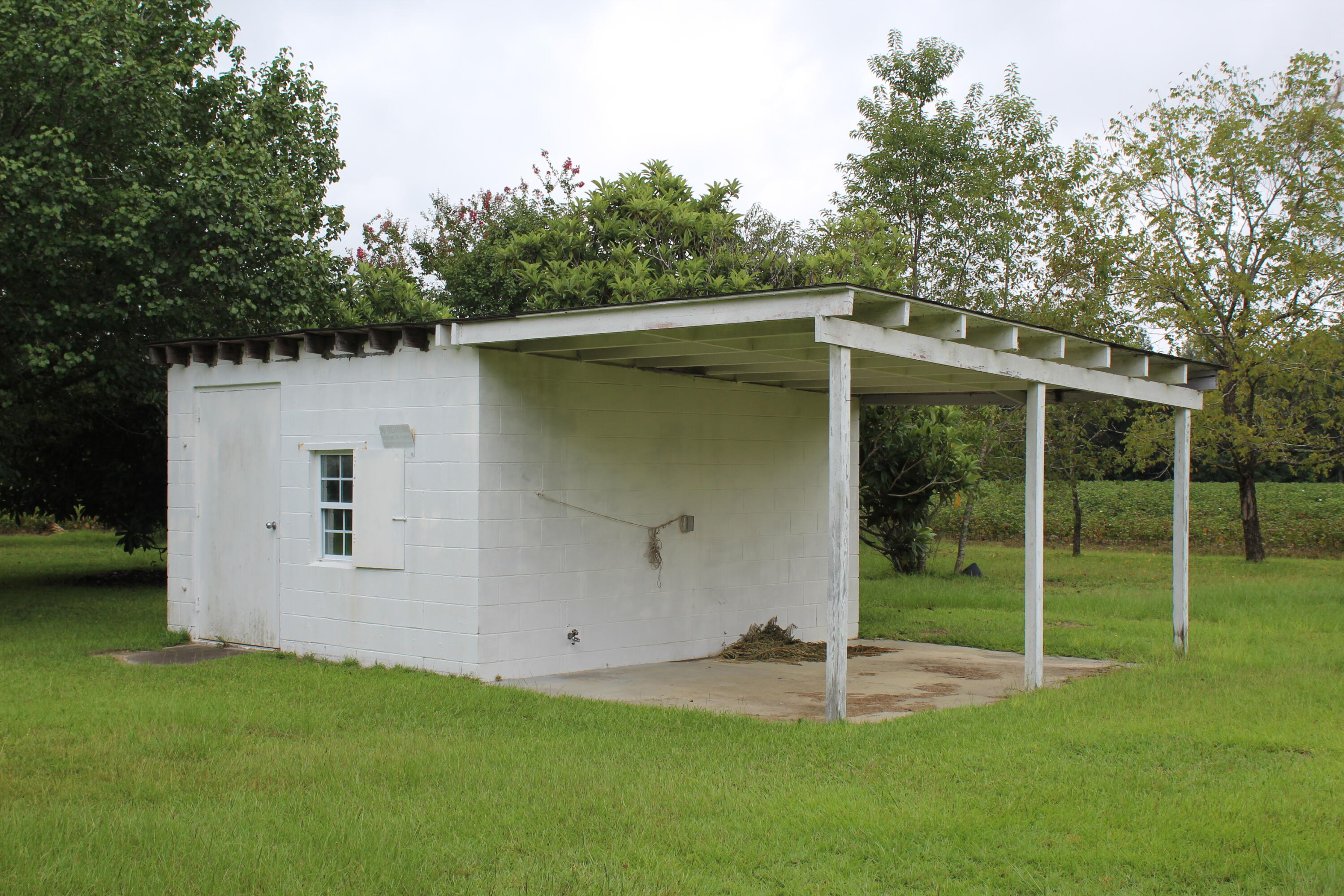 300 Kelly Bay Road Walterboro, SC 29488 - Photo 10 of 12 IMG_4065