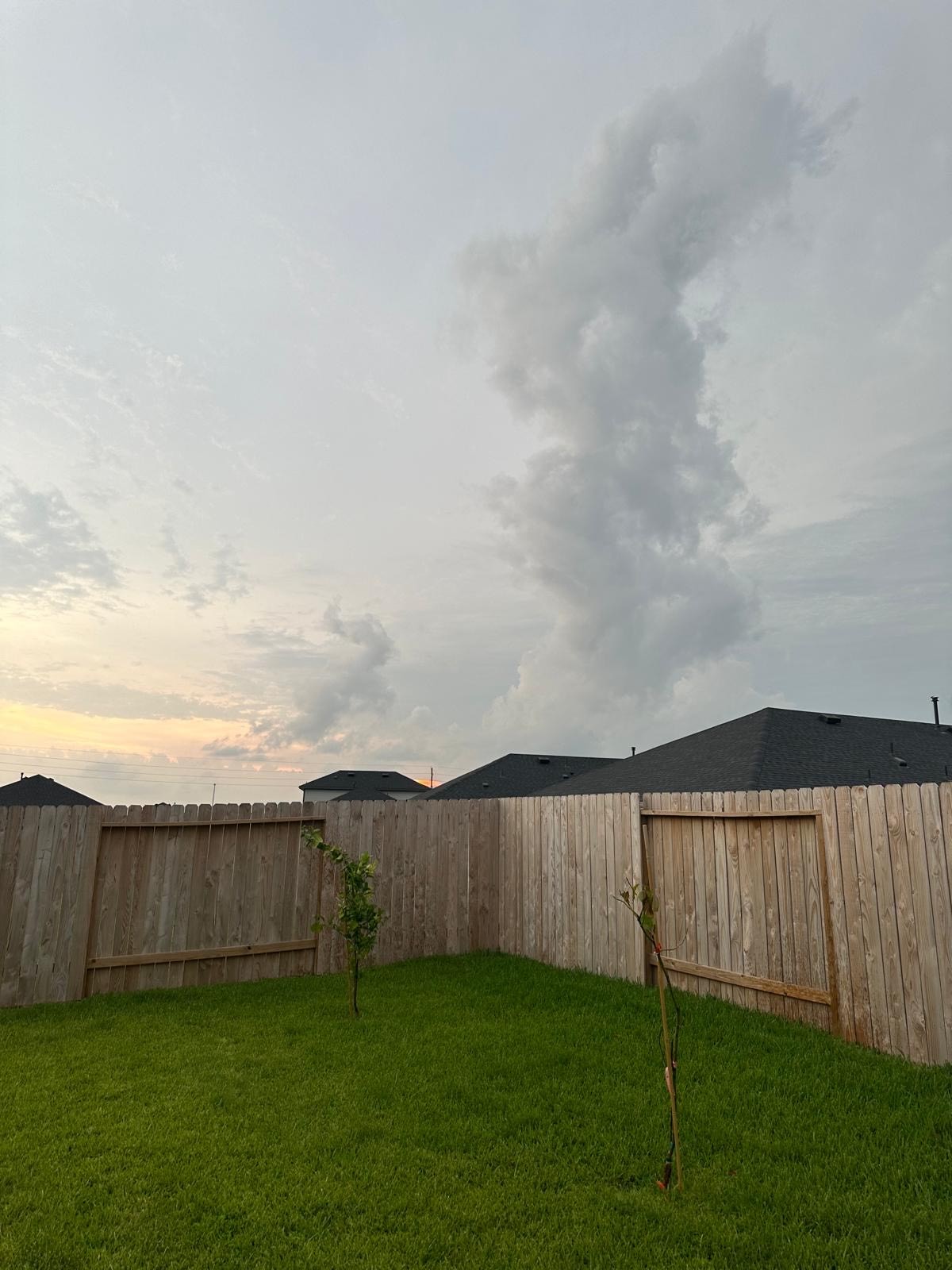 31722 Melkridge Road Fulshear, TX 77441 - Photo 18 of 20 a view of a yard with an outdoor space