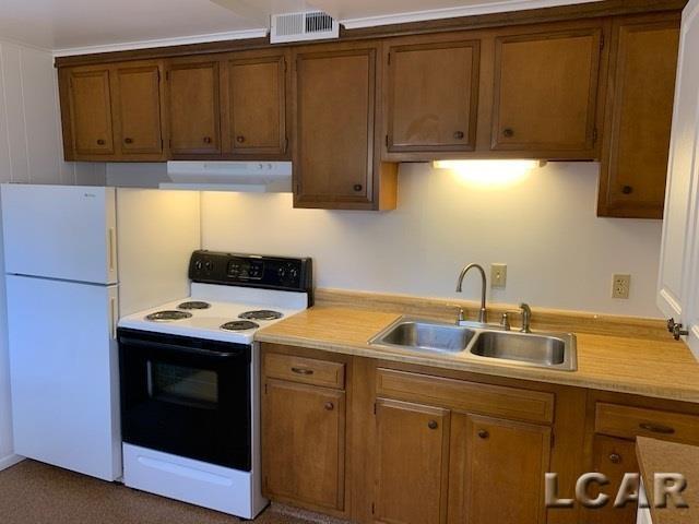 712 Company Street, Unit 2 Adrian, MI 49221 - Photo 5 of 7