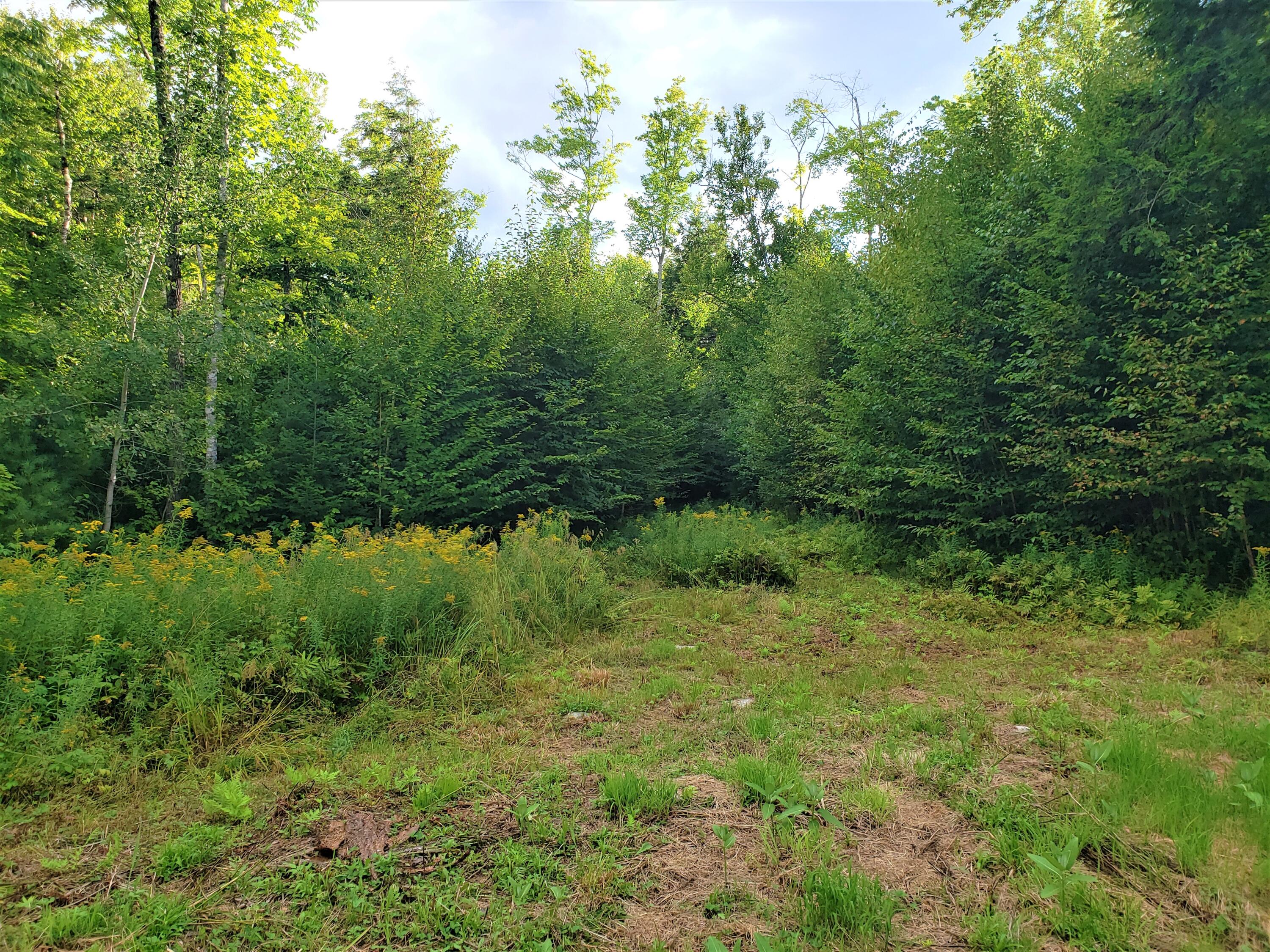 0 Stanley Road New Vineyard, ME 04956 - Photo 12 of 20 20220816_173359 (2)
