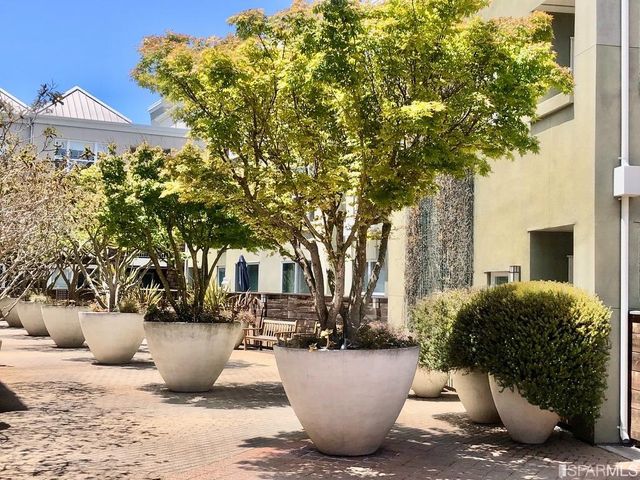 a view of a basket ball ground