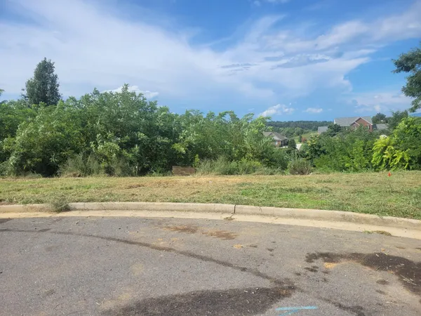 a view of a field with trees in background