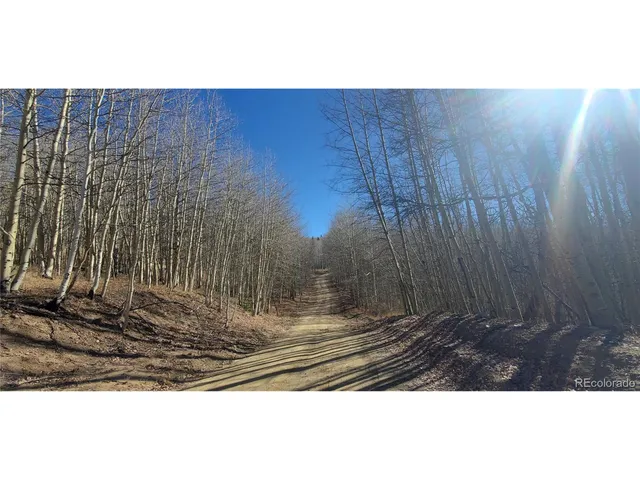 a view of backyard with wooden fence