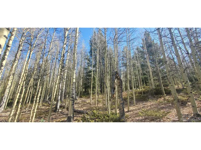 a view of a outdoor space