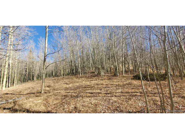 a view of wooden fence and trees