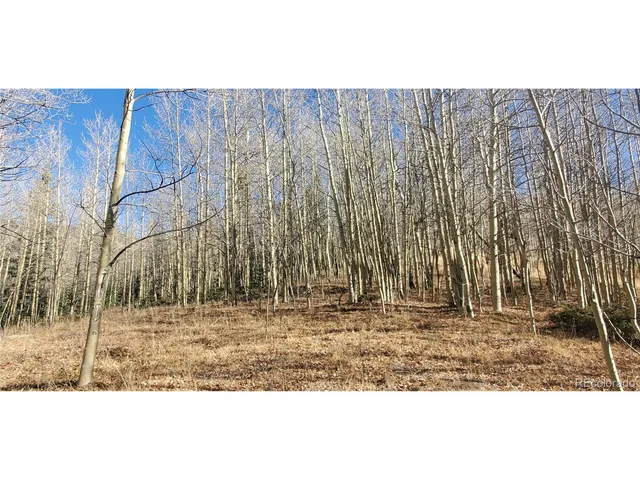 a view of wooden fence