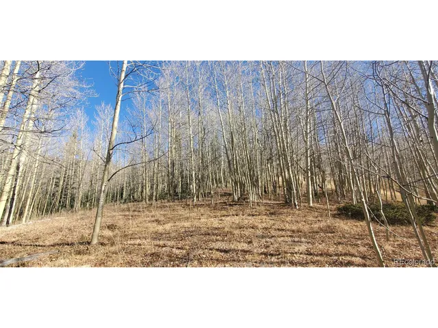 a black and white photo of a house