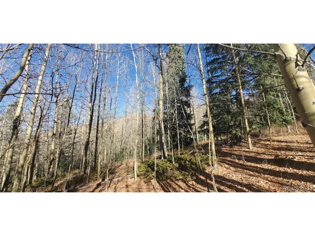 a view of outdoor space