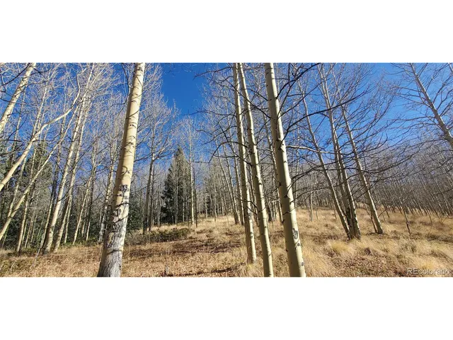 a view of a outdoor space