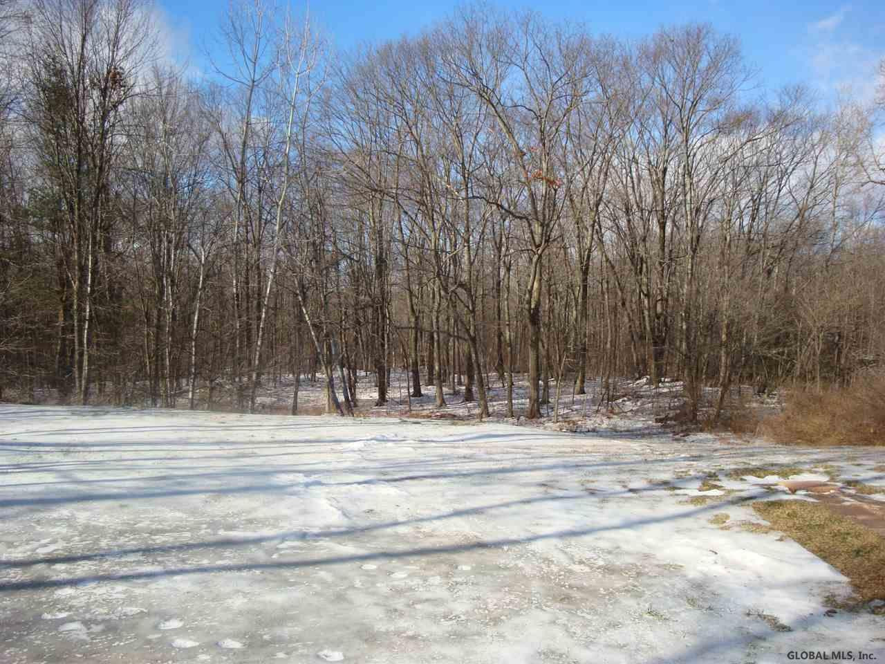 269 Reynolds Road Princetown, NY 12137 - Photo 25 of 25 Photo 25