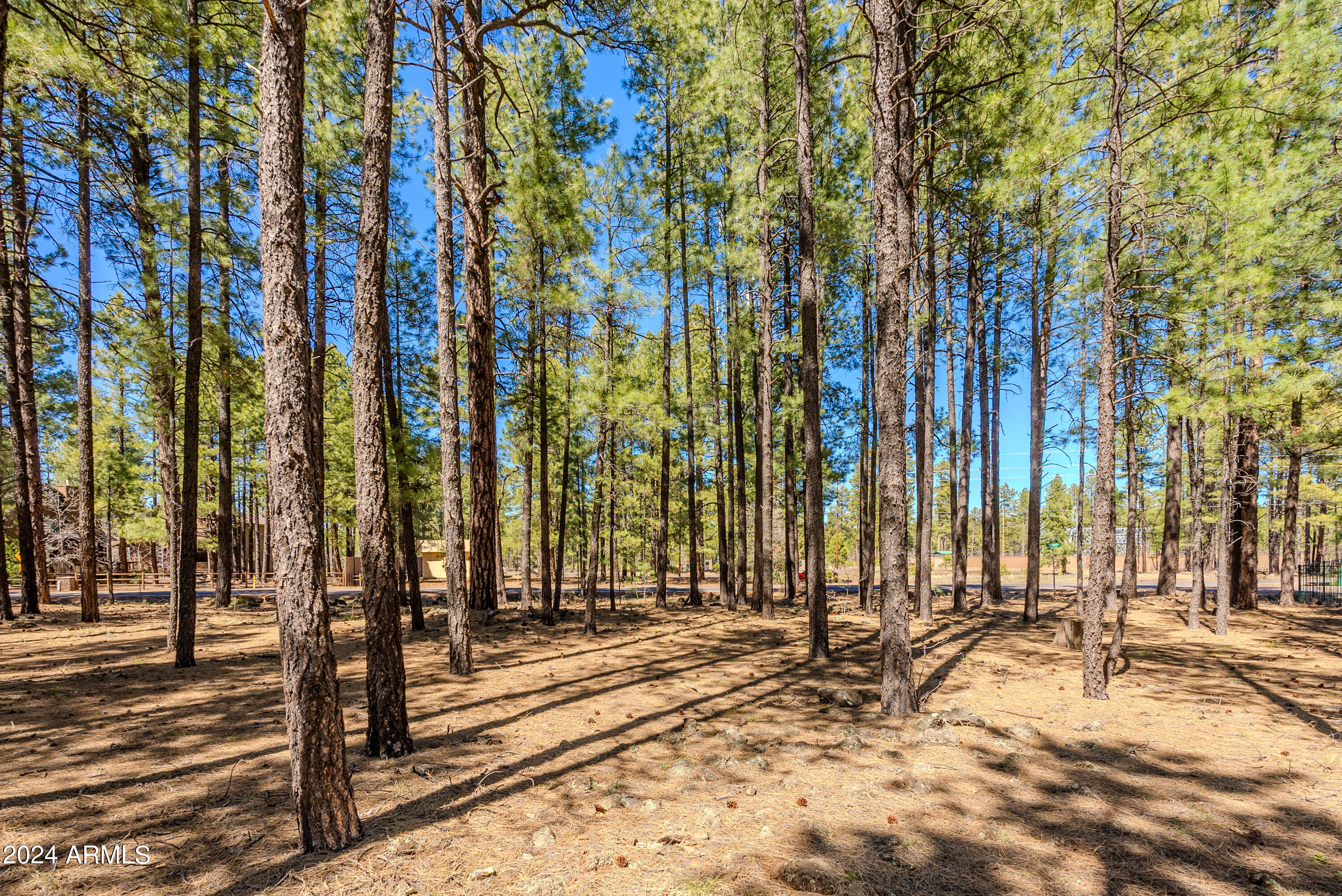 4583 Sky Hi Road Pinetop, AZ 85935 - Photo 27 of 30 4583 Sky Hi-27