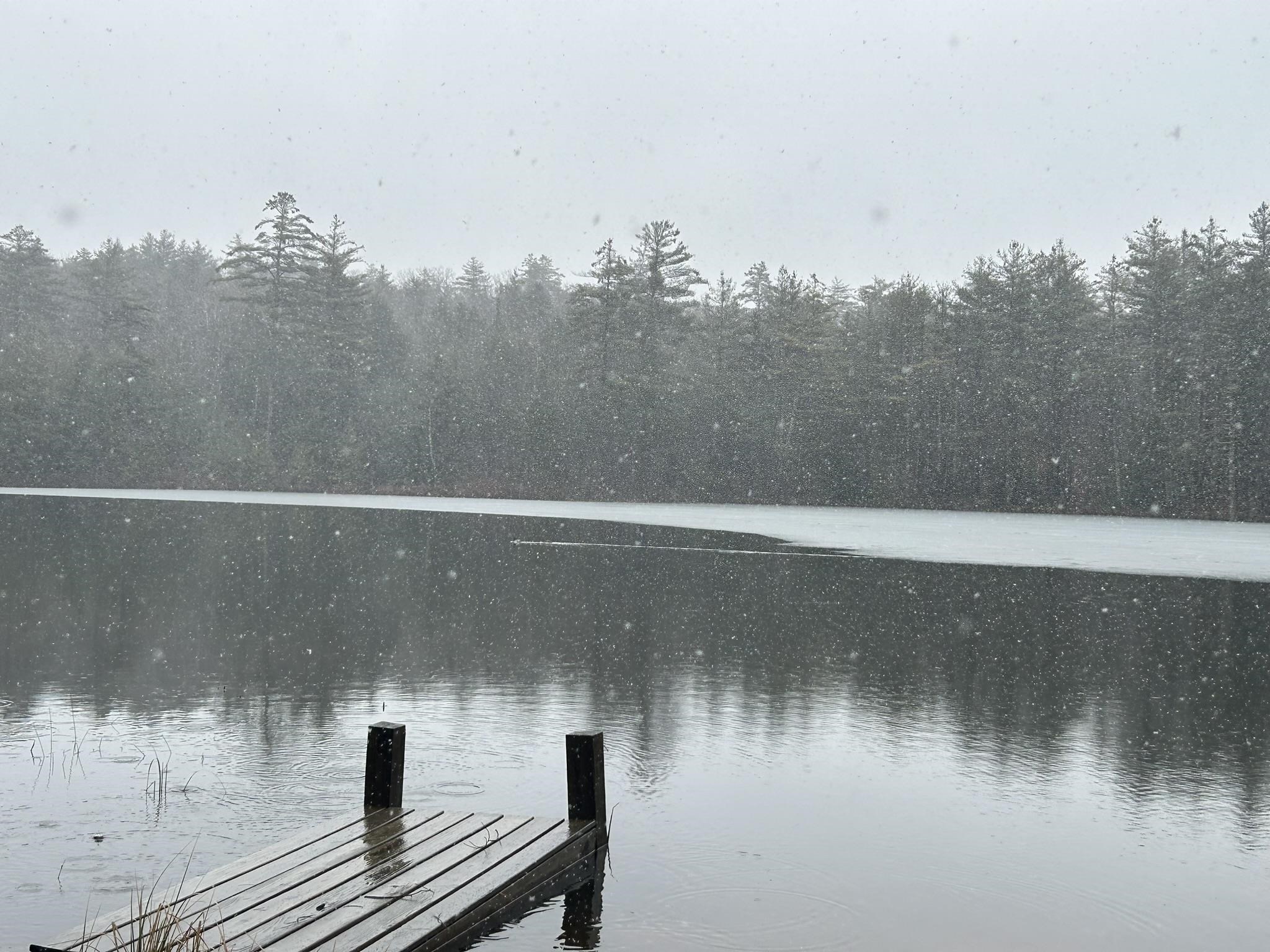 85 Tioga Road Hill, NH 03243 - Photo 12 of 20 Gallery Image 12