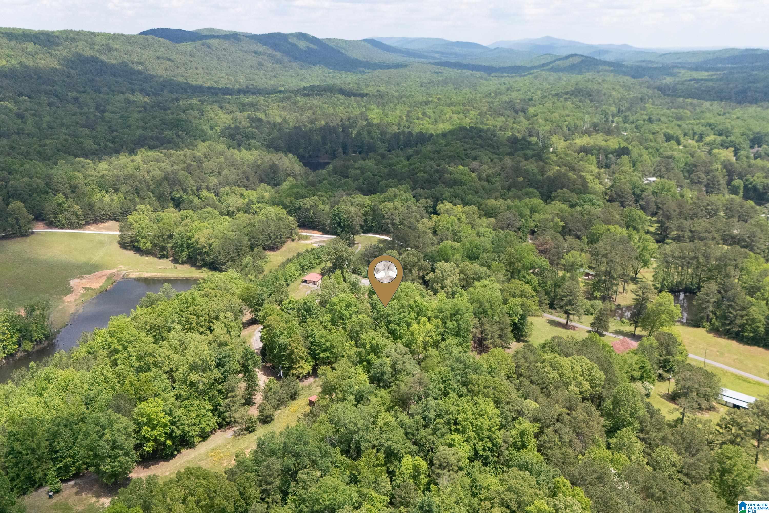 297 Cain Road Chelsea, AL 35043 - Photo 17 of 33